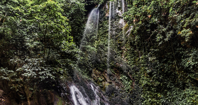 Erin-Ijesha Waterfall in Osun State surrounded by greenery.