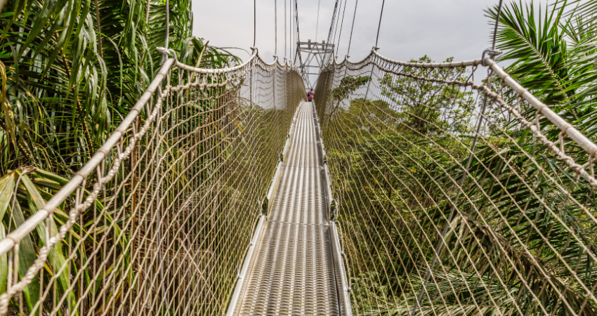 Lekki Conservation Centre, Lagos State