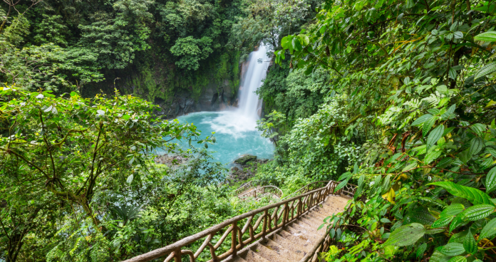 Eco-friendly rainforest lodge in Costa Rica, surrounded by lush greenery.